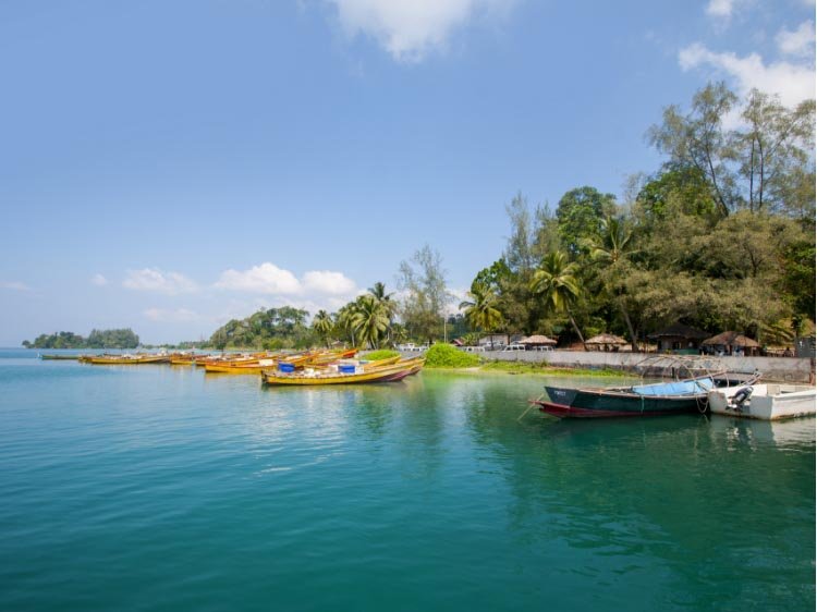 A Tropical Getaway — photo 3