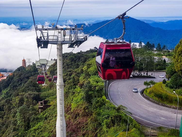 Cable Car Rides & Big Bird Glides — photo 3