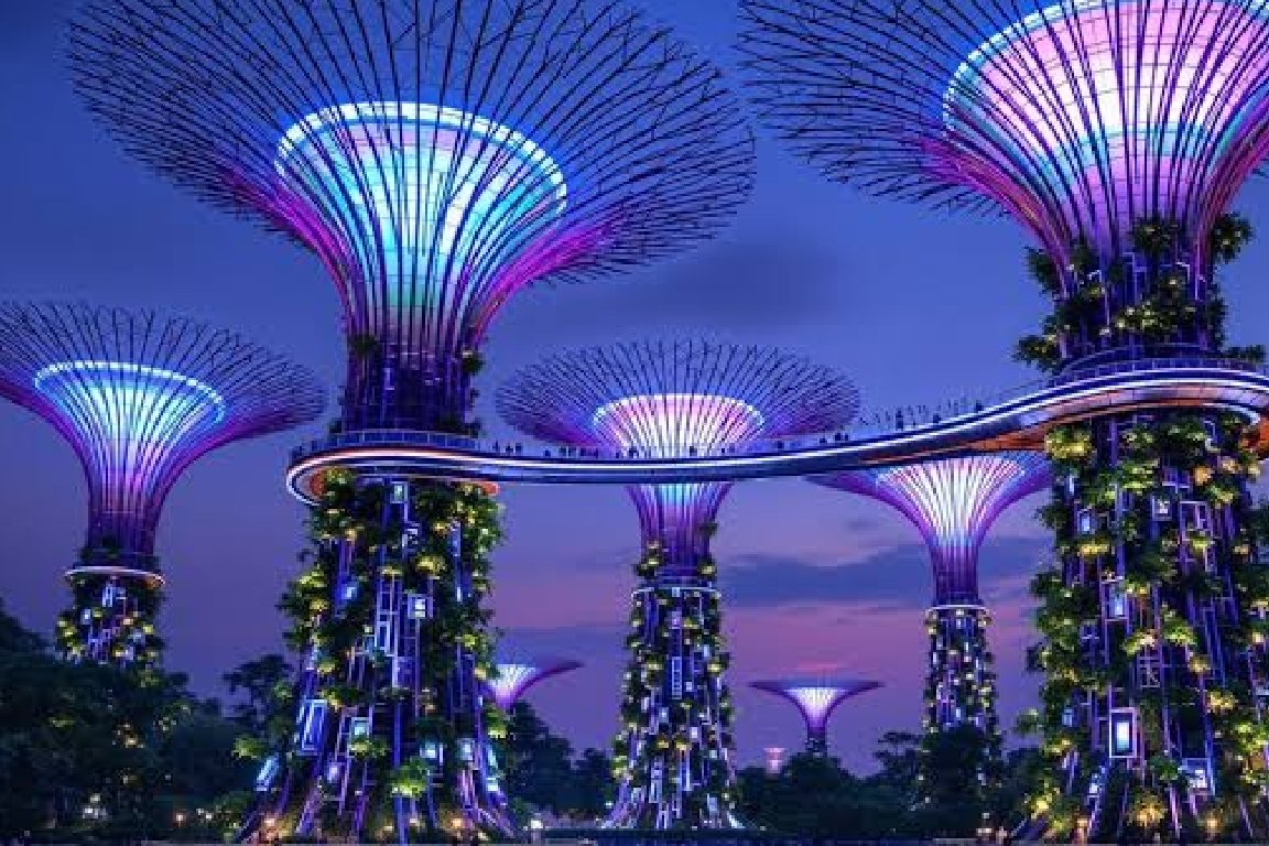 Singapore Highlights: Iconic Sights, Island Fun & Family Adventures — photo 3